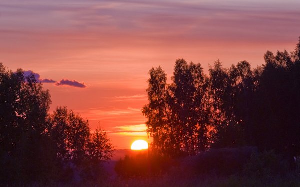 Закат в лесу