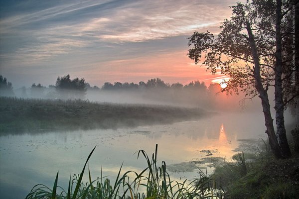 Златое затишье
