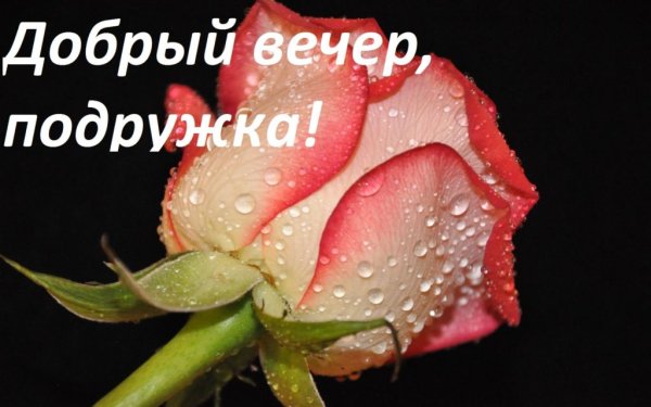 Добрый вечер подруга