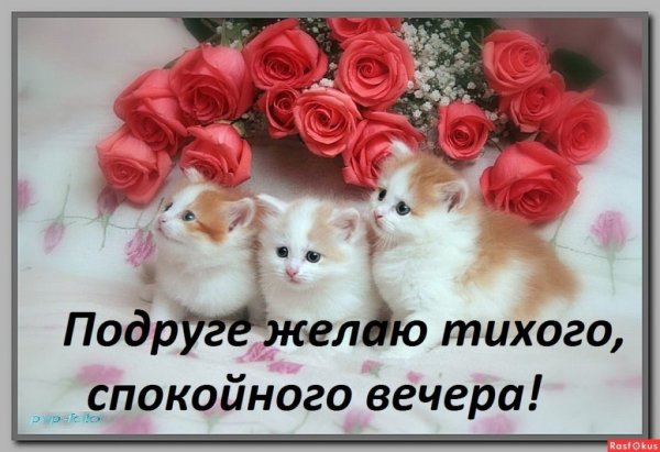Пожелание доброго вечера подруге