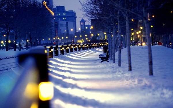 Зима в городе