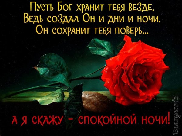 Открытки споки ноки