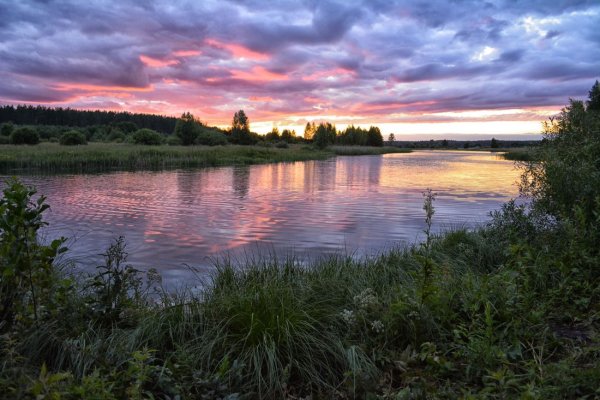 Подмосковные вечера