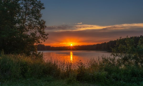 Подмосковные вечера фон