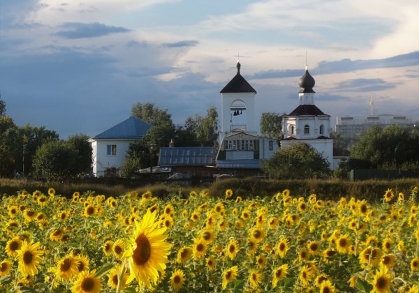 Подмосковные вечера