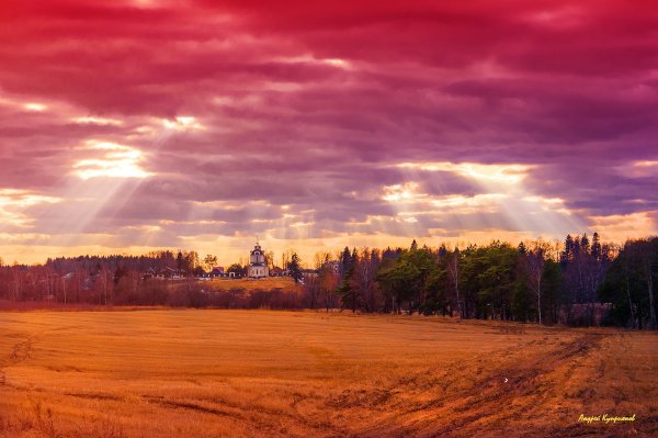 Природа Подмосковья картинки