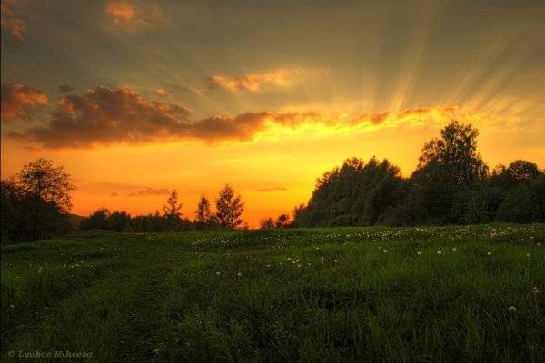 Подмосковная природа