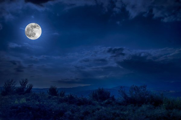 Картинки вечер луна (41 фото)