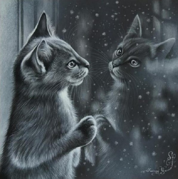 Кошки Ирины Гармашовой