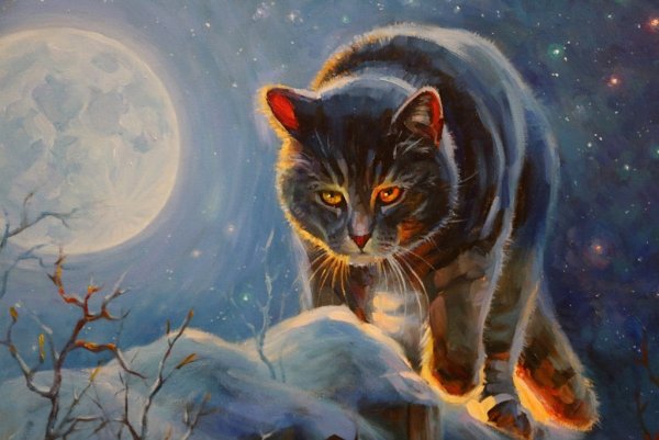 Живопись кошки зимой