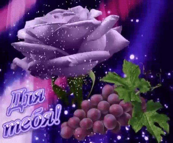 Добрый вечер Наташа