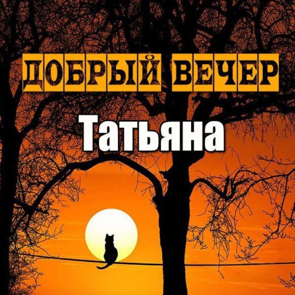 Добрый вечер Алена