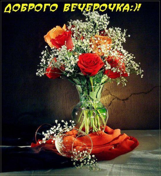Добрый вечер Галина
