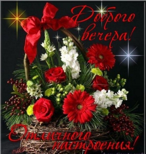 Добрый вечер любимая