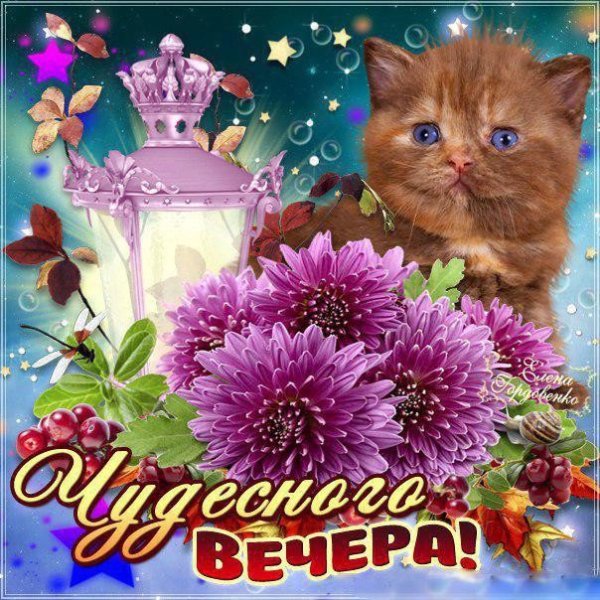 Открытка добрый вечер мужчине
