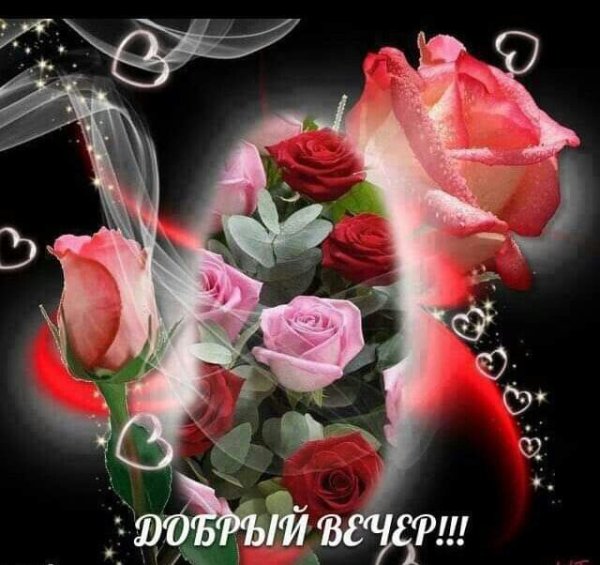 Добрый вечер Светлана
