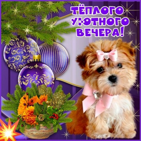 Добрый вечер Оленька