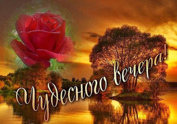 Красивые поздравления с добрым вечером