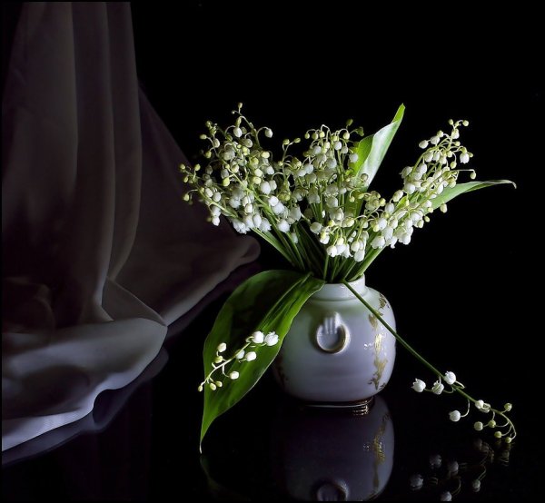 Ландыши вечером