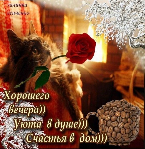 Открытки с пожеланием доброго вечера