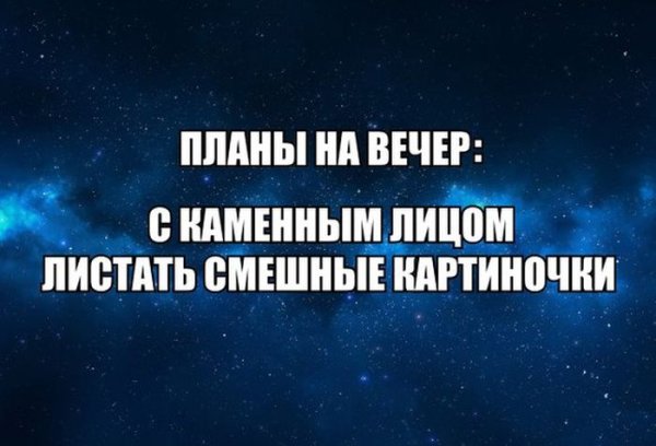Планы на вечер смешные картинки