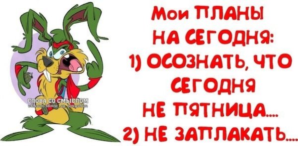 План на сегодня прикол