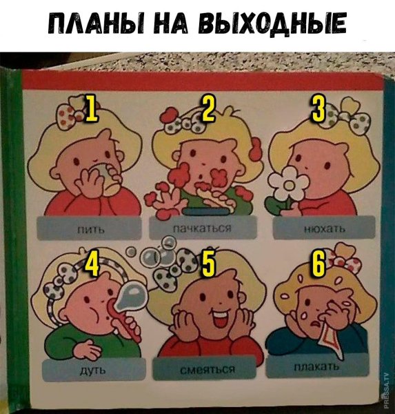 Какие планы на вечер картинки смешные