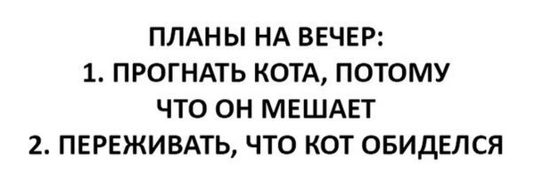 Планы на вечер юмор