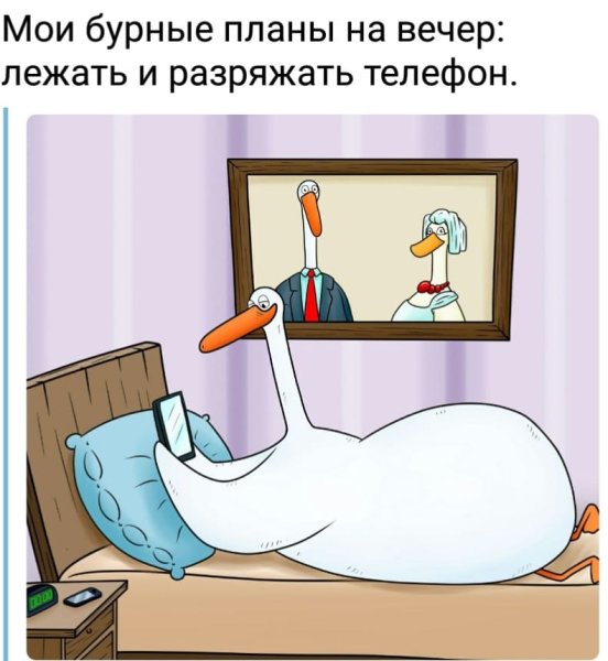 Мои планы на вечер