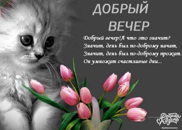 Добрый вечер
