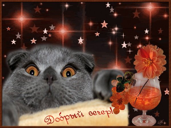 Открытки добрый вечер