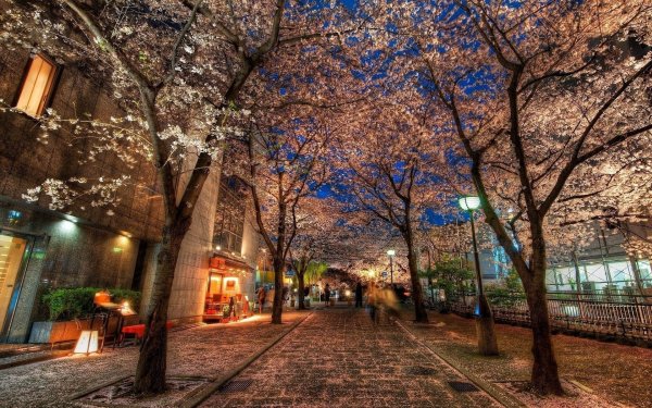 Японские улицы Киото
