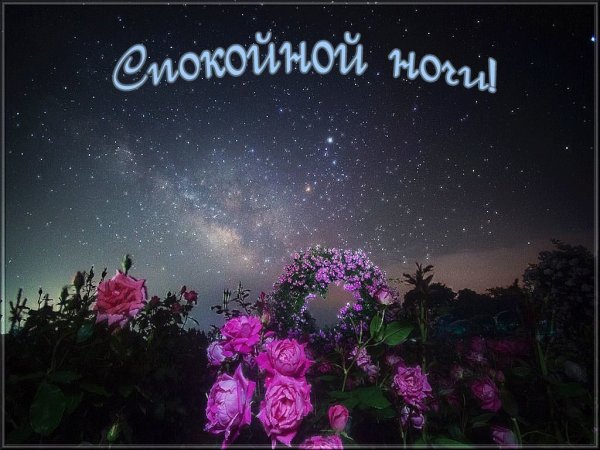 Поделаниеспокойной ночи
