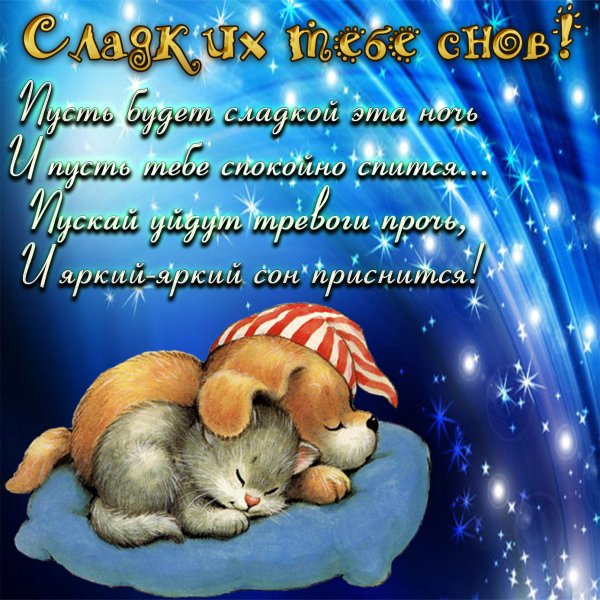 Спокойной ночи сладких снов