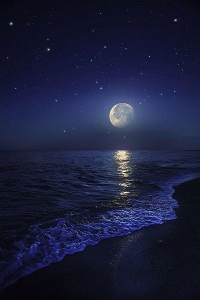 Ночное море