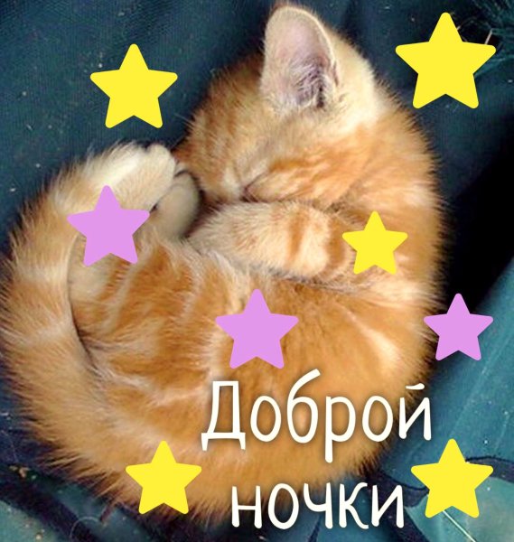 Спокойной ночи