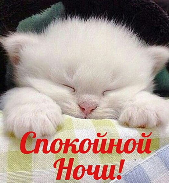 Спокойной ночи