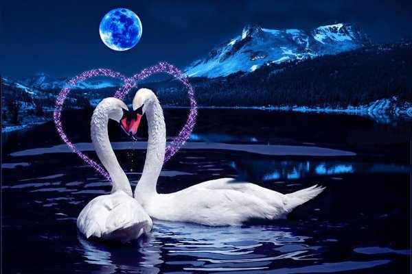 Спокойной ночи любимая романтичные картинки (42 фото)