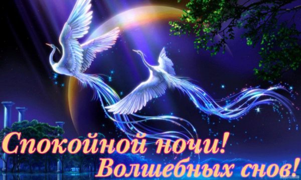 Чудесных снов