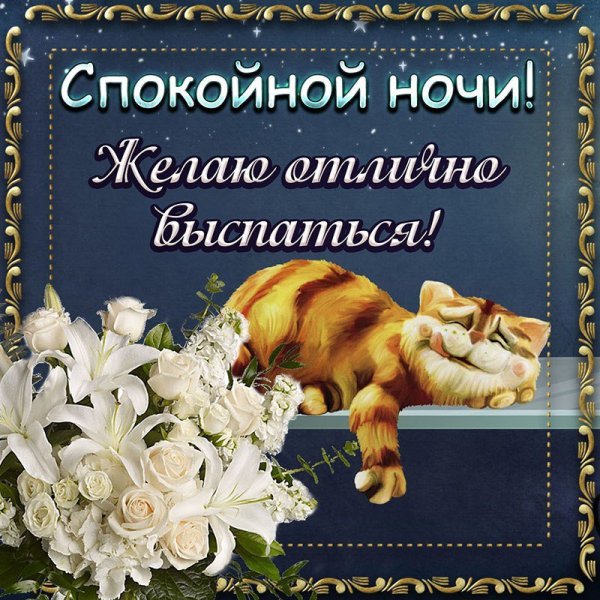 Доброй ночи