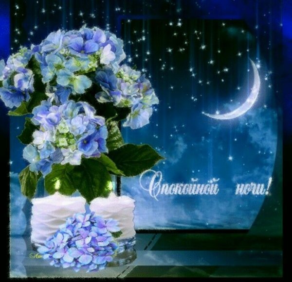 Спокойной весенней ночи