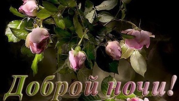 Спокойной весенней ночи