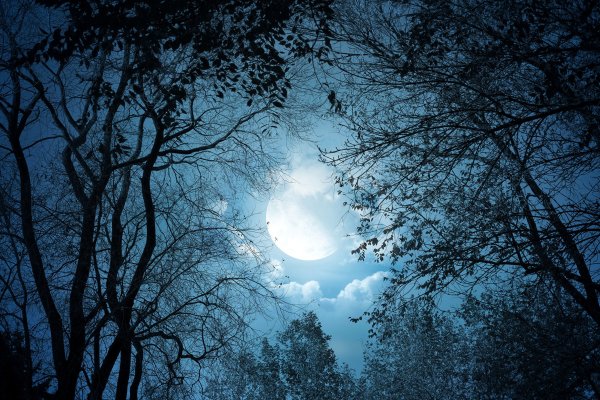 Финский фотограф Микко Лагерстедт
