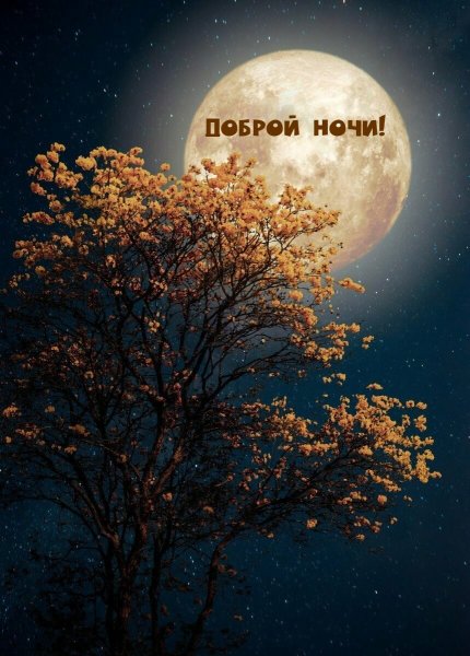 Ночное небо со звездами