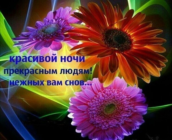 Доброй ночи красивые необычные