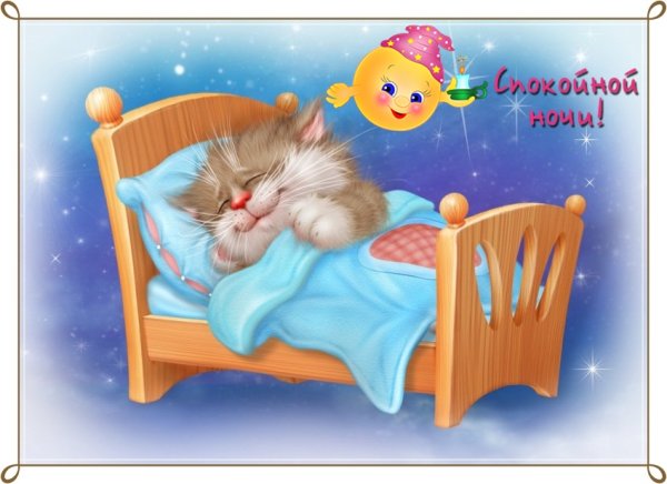 Кот спит спокойной ночи