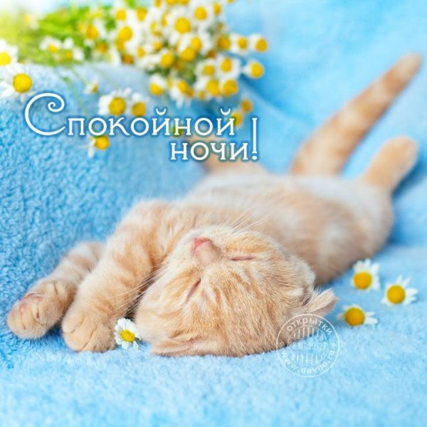 Открытки спокойной ночи