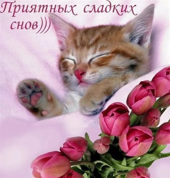 Самых сладких снов