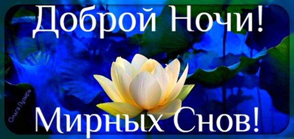 Доброй мирной ночи и крепкого сна