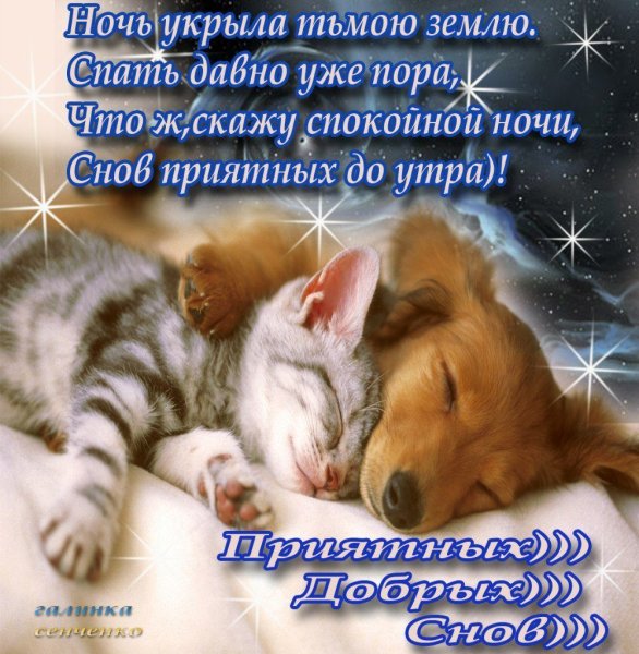 Открытки с пожеланием спокойной ночи